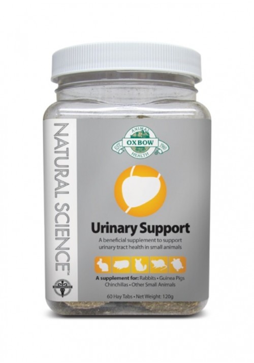 vitaminas para hamster ruso