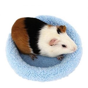 hamster hibernando