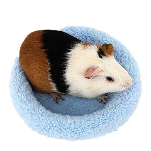 hamster hibernando