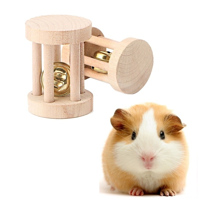 Domesticar hamster limpiar jaula
