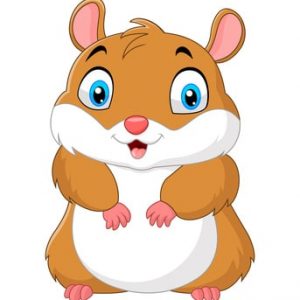 cuentos de hamsters