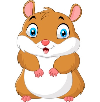 cuentos de hamsters