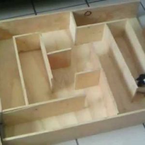 laberinto hamster